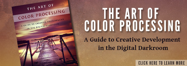 The Art of Color Processing