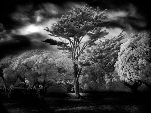 Stunning Examples of Black and White Photography