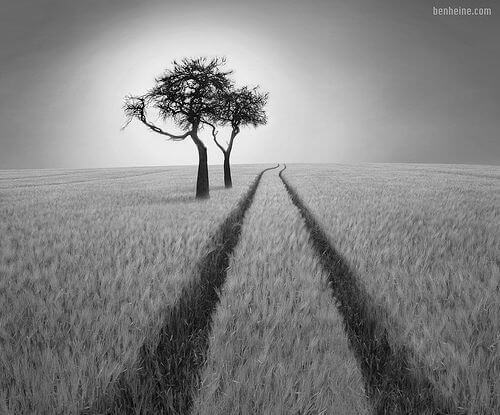 Stunning Examples of Black and White Photography