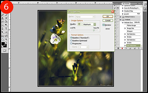 Photoshop Automation