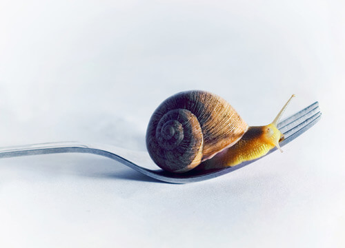 Conceptual Photography