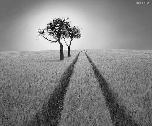 Conceptual Photography