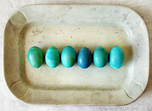 Easter Egg Photography