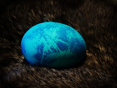 Easter Egg Photography