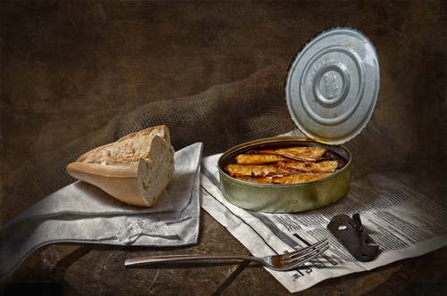 Still Life Photography