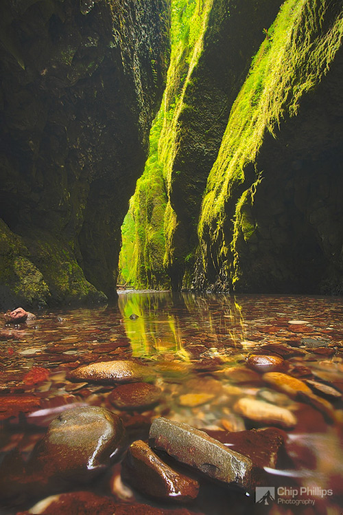 Oneonta-Gorge-Reflections-M