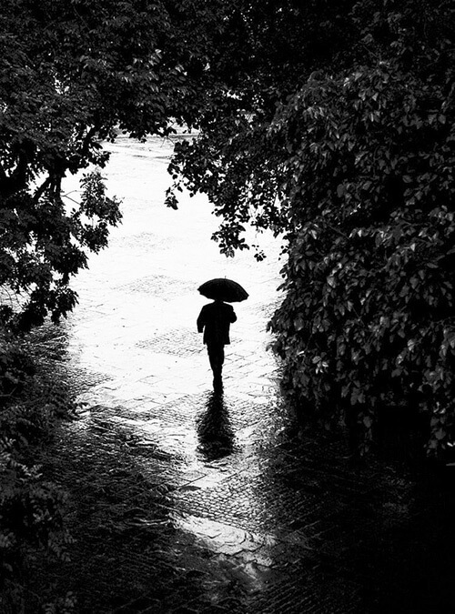 Rain Photography