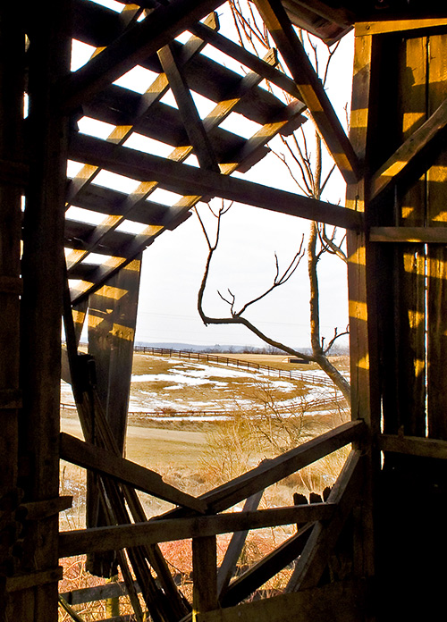 Barn-Looking-Out