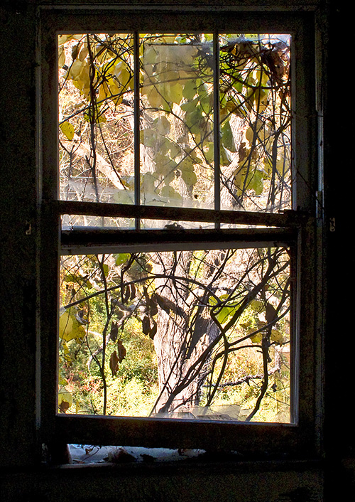 Old-House-Window---4