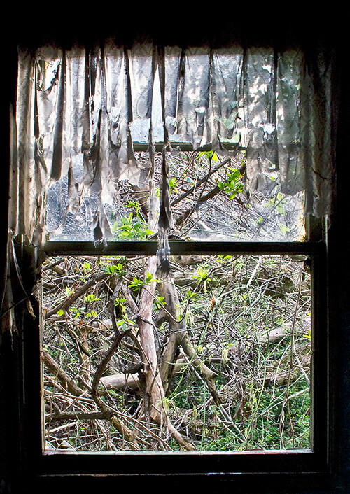 Old-House-Window---6