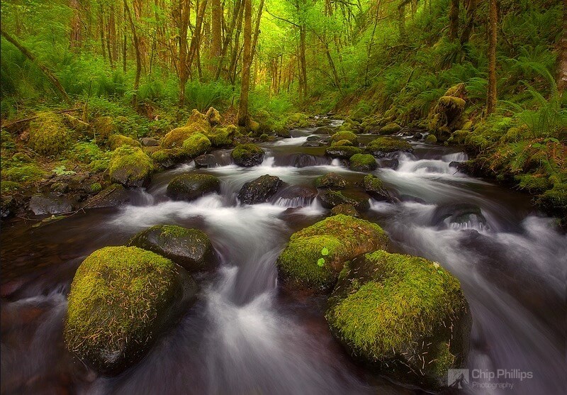 Chip Phillips - Rivers and Streams