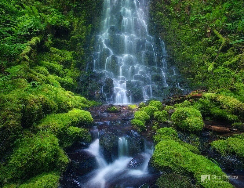 Chip Phillips - Rivers and Streams