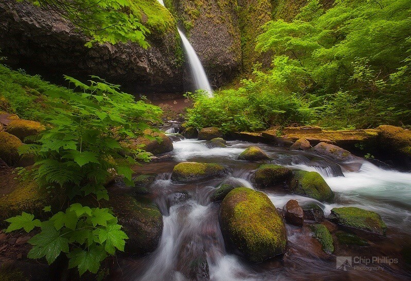 Chip Phillips - Rivers and Streams