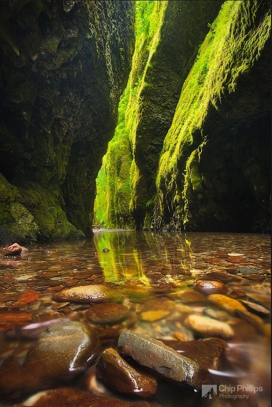 Chip Phillips - Rivers and Streams