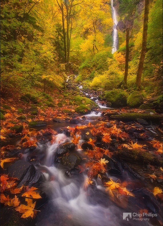 Chip Phillips - Rivers and Streams