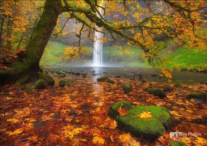 Chip Phillips - Rivers and Streams