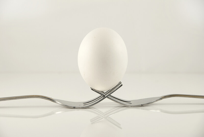 still life photography egg on forks