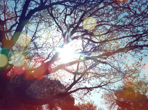 lens-flare-photography