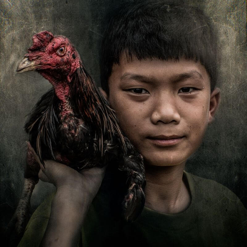 boy with a rooster