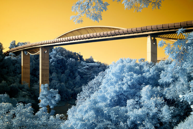 Henderson Waves bridge