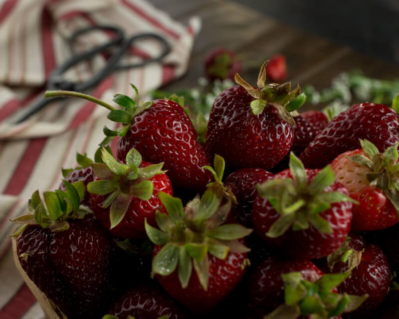 Carol Hart strawberries