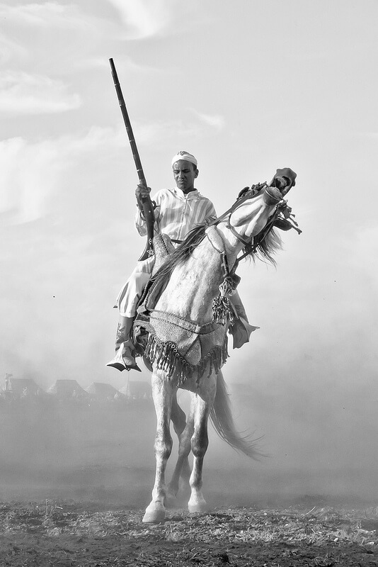 cavalo e cavaleiro; fotos preto e branco