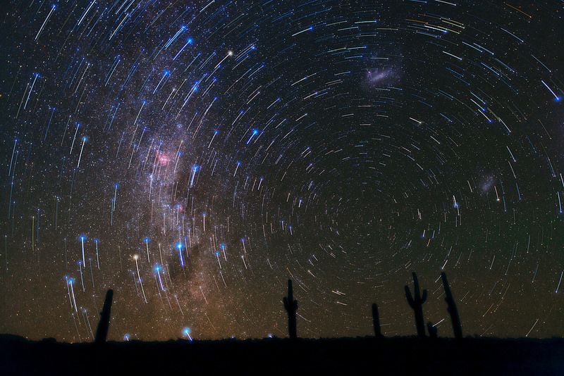 Star Trails over Atacama Desert Cacti