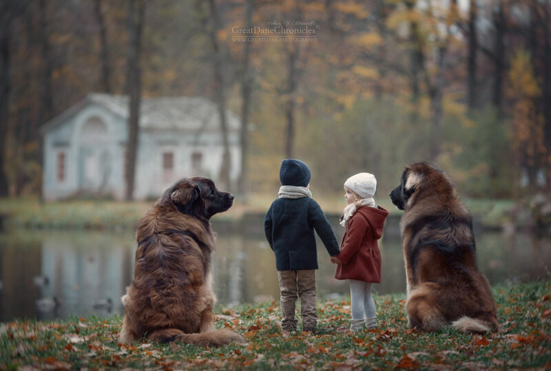 big dogs and little kids