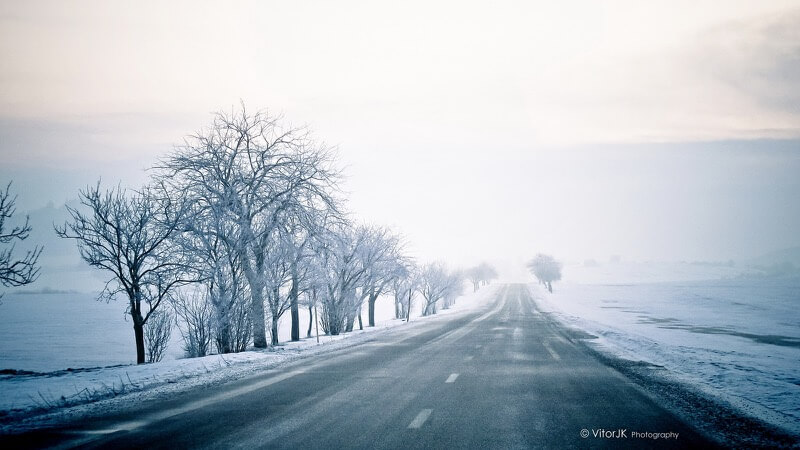 Vitor Junqueira - Magic Roads at Winter