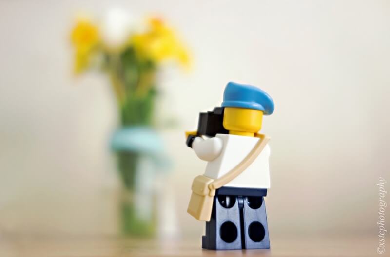 Daffodils photographer lego