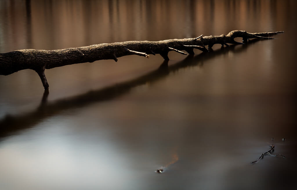 long exposure photography by Andy Farmer - Fallen Tree