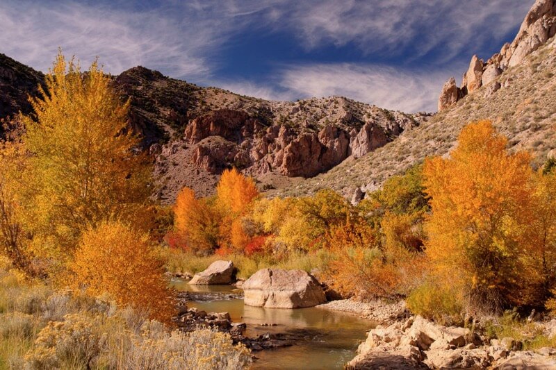 PiConsti - Fall in Utah