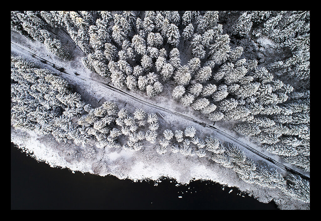 Topdown over snowy trees