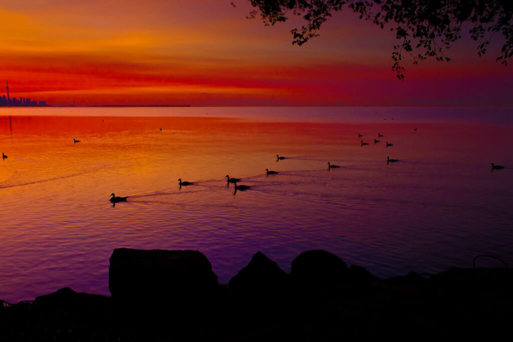 Greg David - Lake Sunrise
