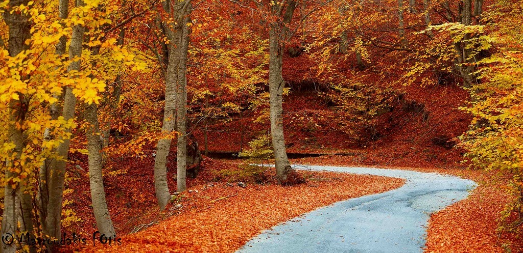 Fotis Mavroudakis - Autumn road