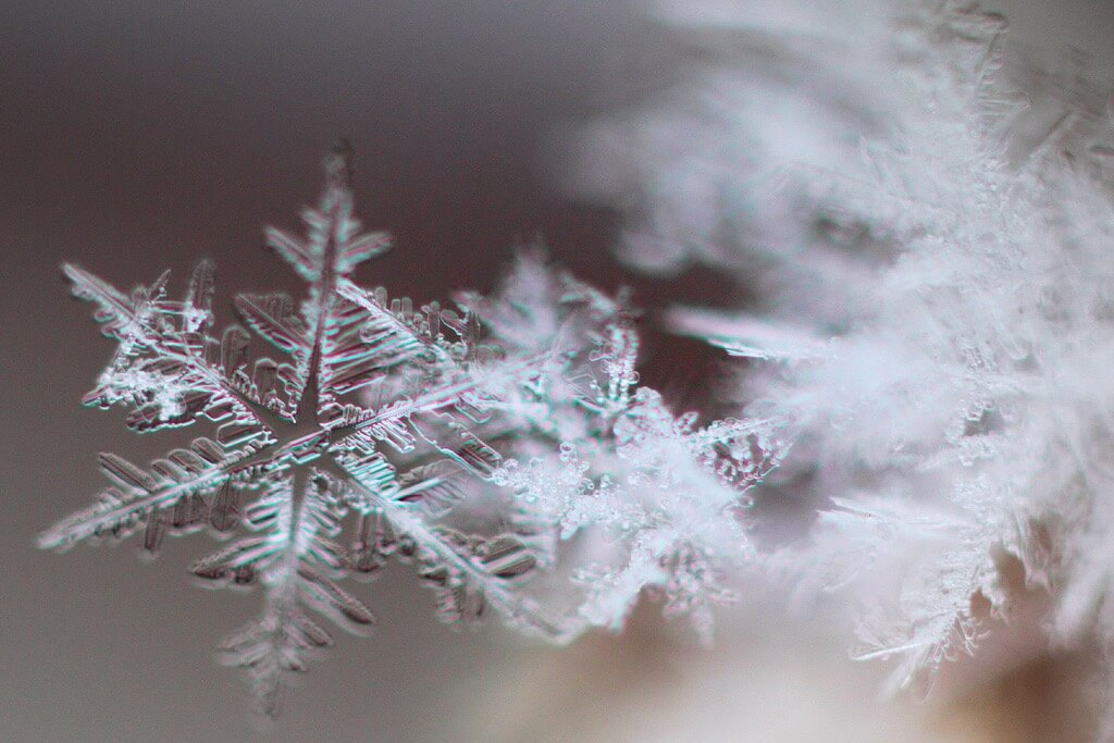 Close-up snowflake