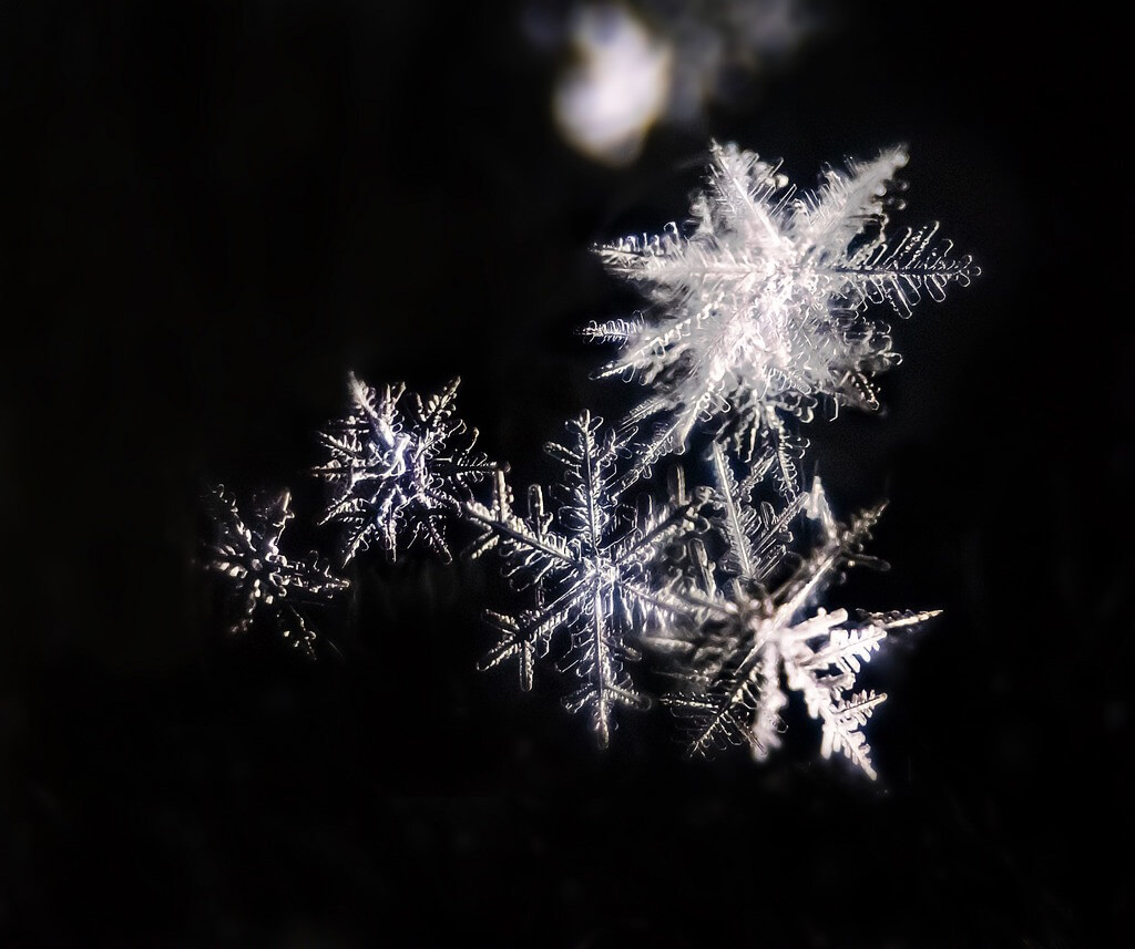 Martyn Fletcher - Snowflake cluster, Cumbria, UK