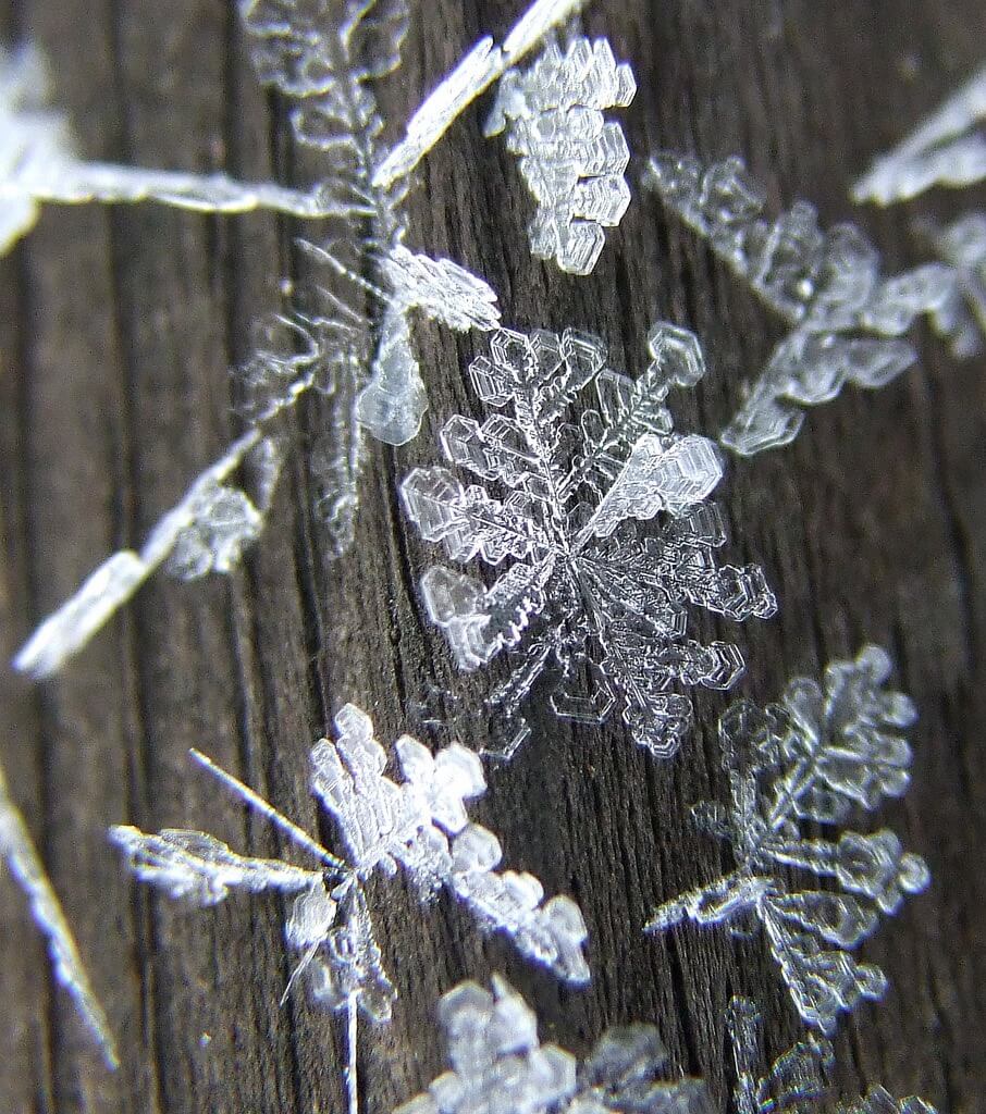 Michigan snowflake