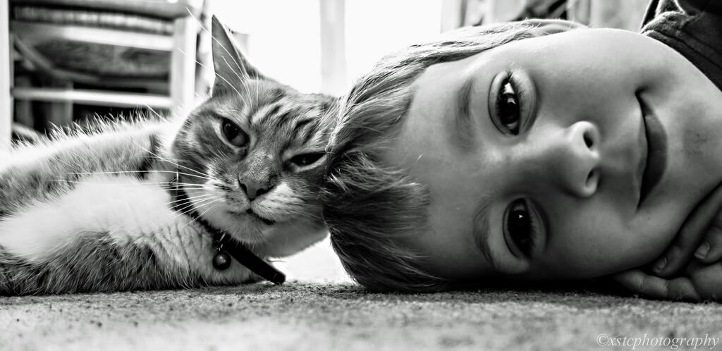 cat and boy