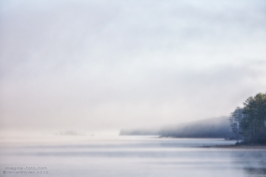 Denise Worden foggy lake