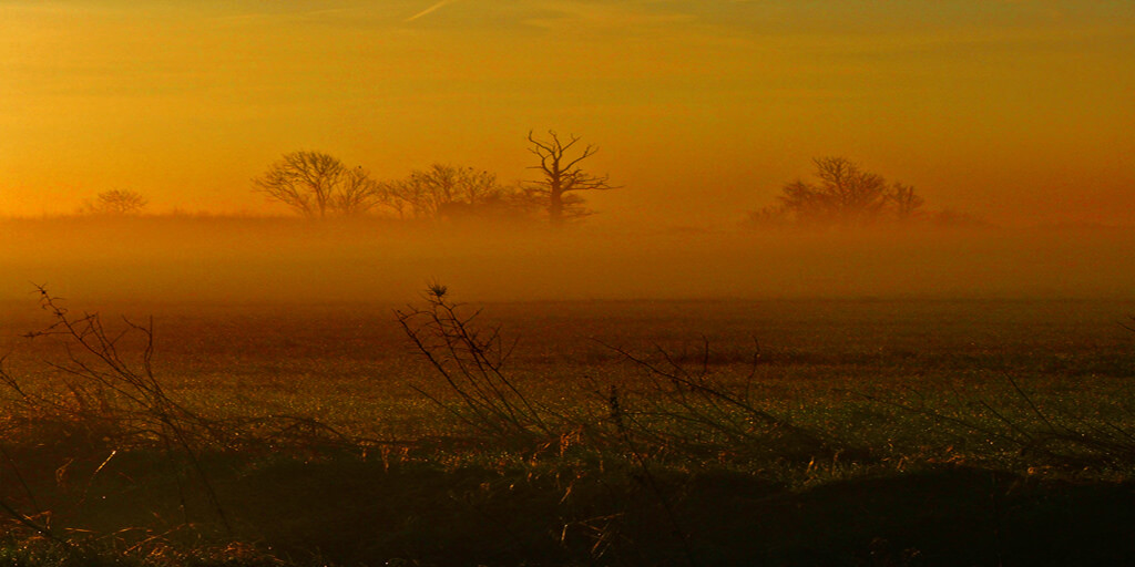 Robert Felton - Sunrise Mist At Ducks Cross