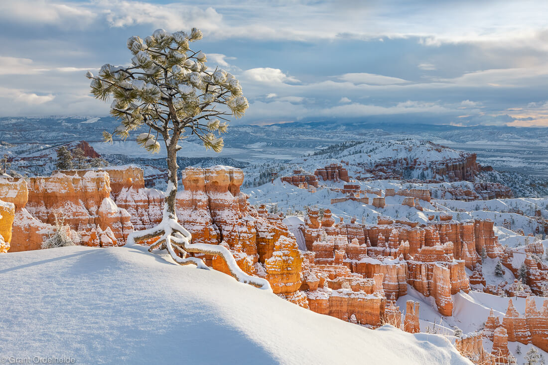 bryce canyon winter