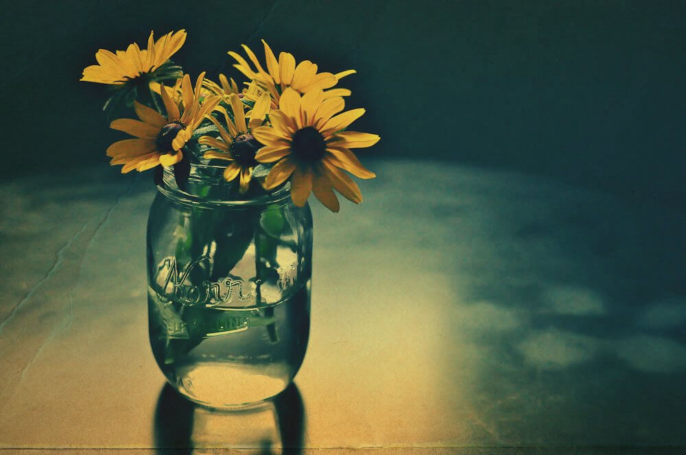 jordan parks - flowers in a jar - minimalist photography
