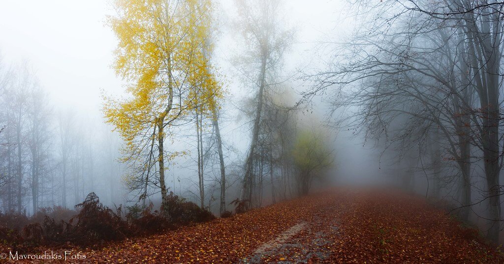 Fotis Mavroudakis - Colorful fall path