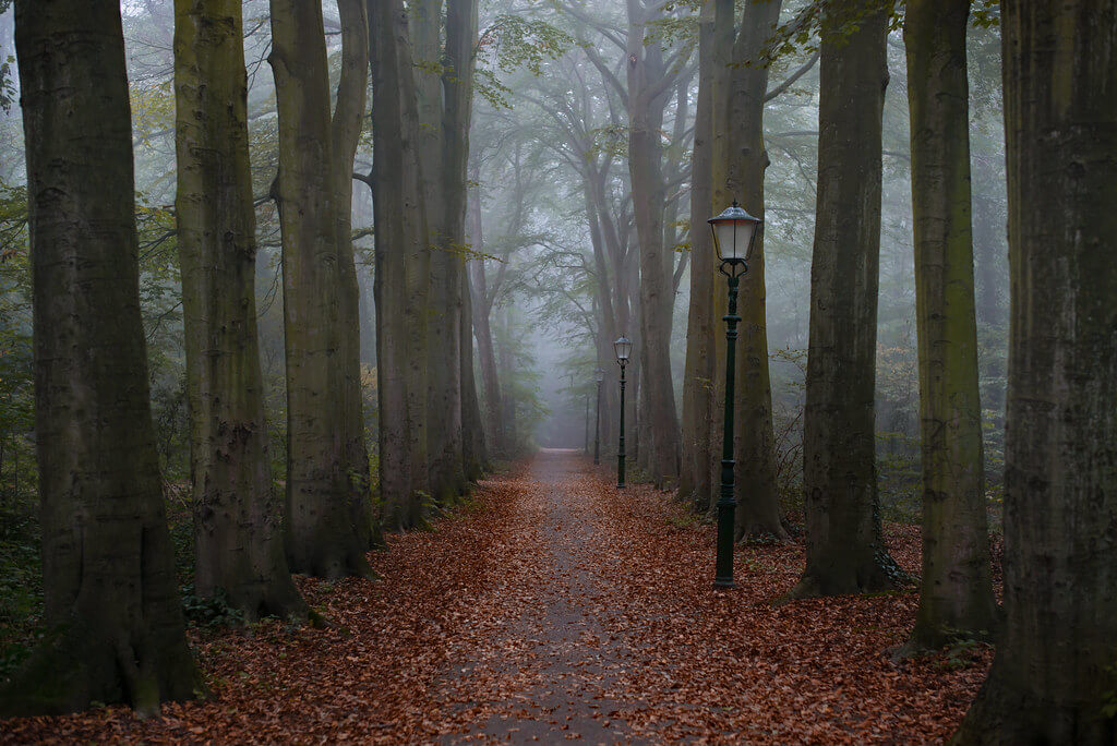 Lenny K Photography - Lonely Autumn Path