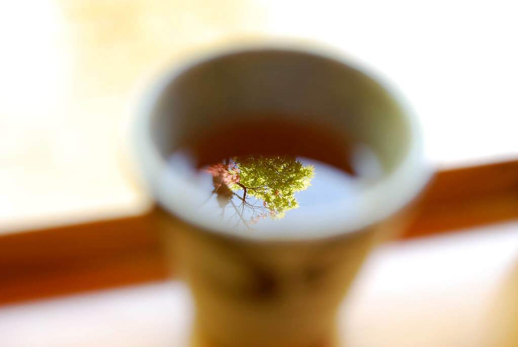きうこ - maple tea