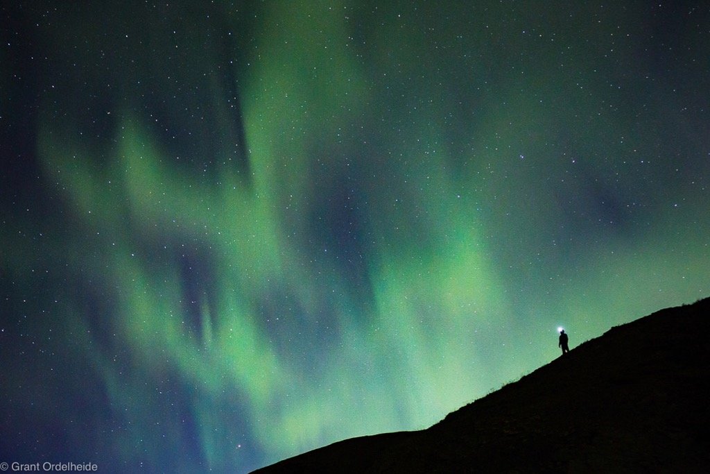 Grant Ordelheide - A person enjoys the northern lights over Denali National Park in Alaska.