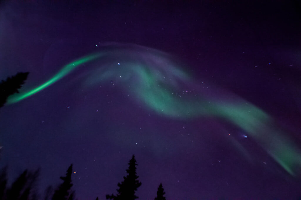 Rebecca - northern lights alaska