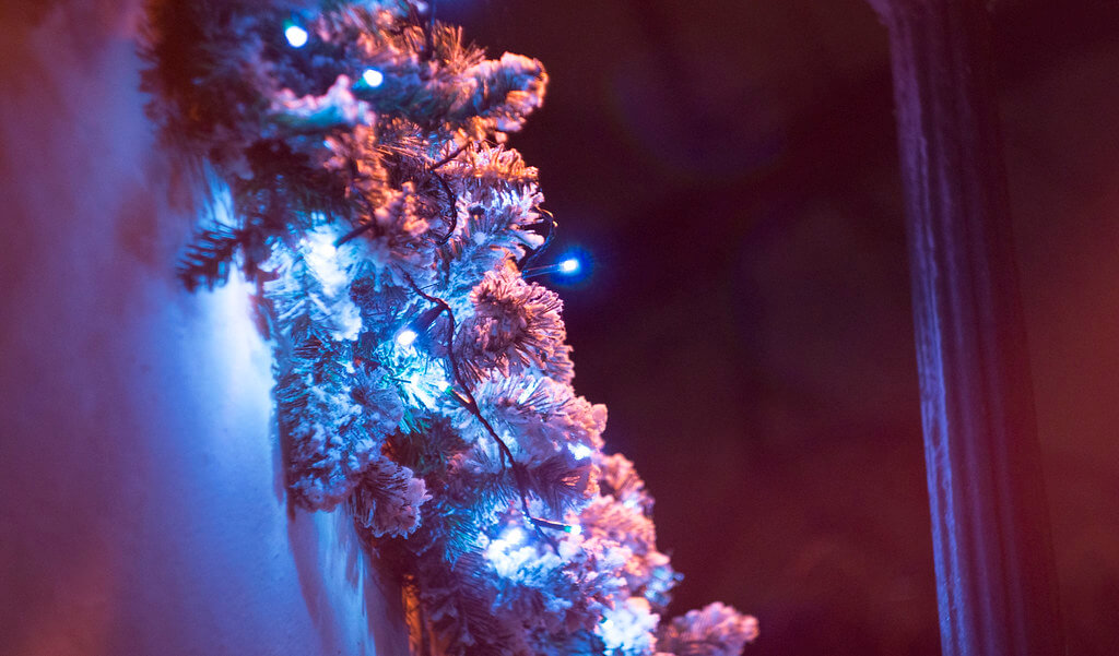 Tom Mrazek - blue Christmas lights