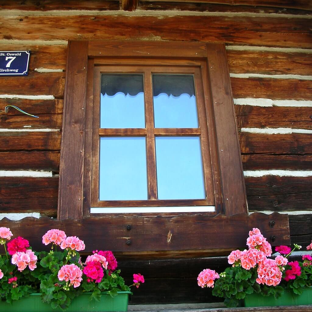 Window with Pink Flowers